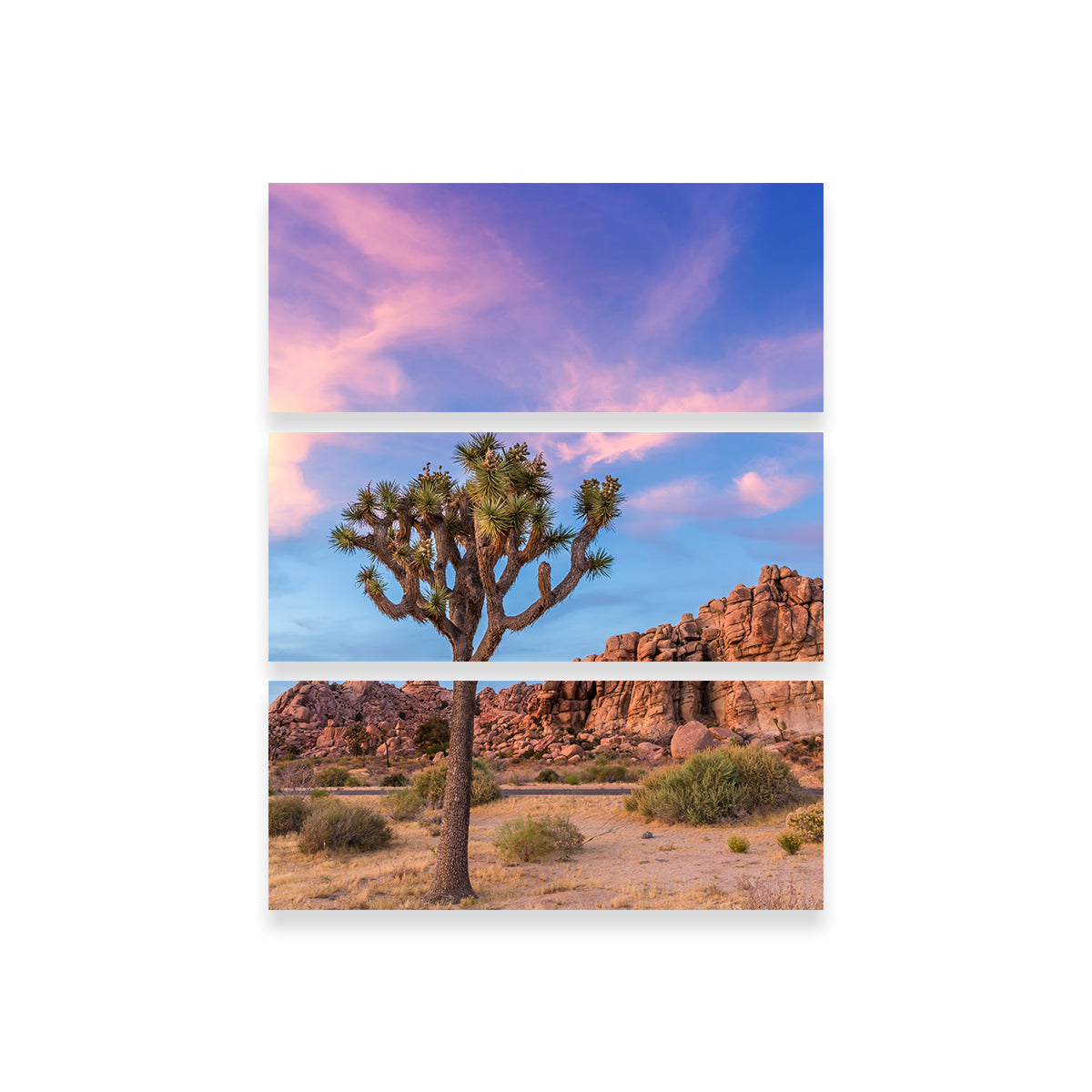 Joshua Tree Evening Atmosphere Wall Art