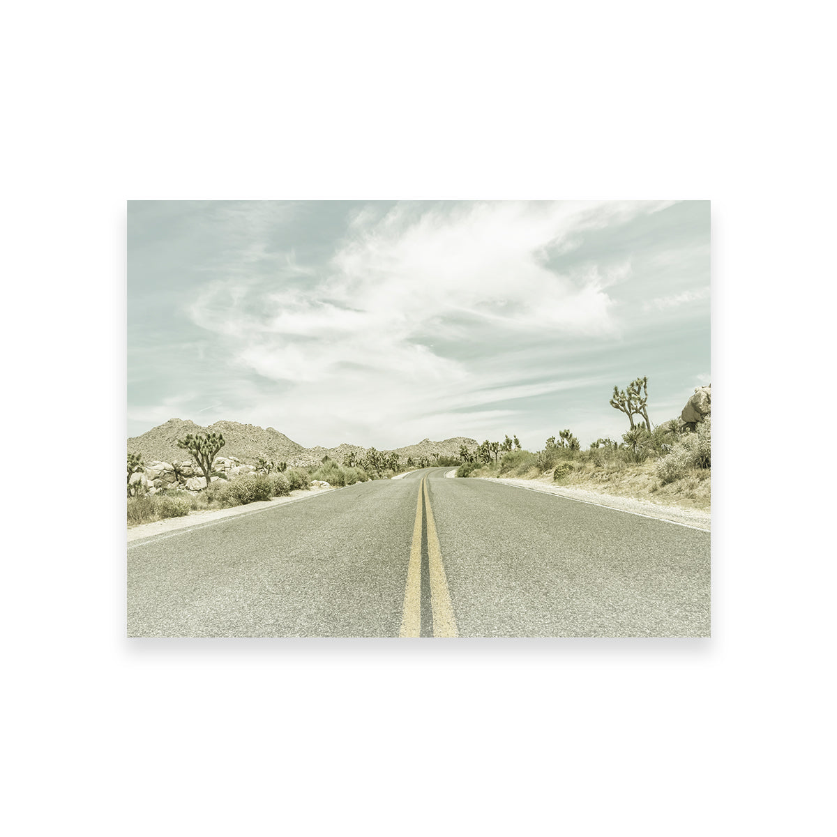 Joshua Trees Park Boulevard Wall Art