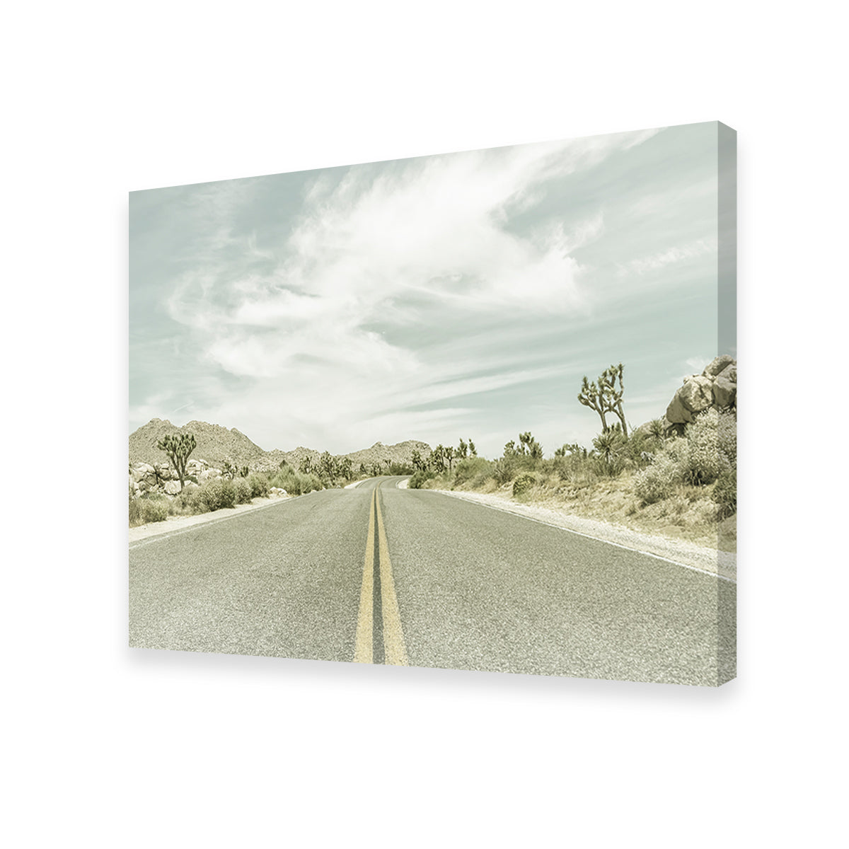Joshua Trees Park Boulevard Wall Art