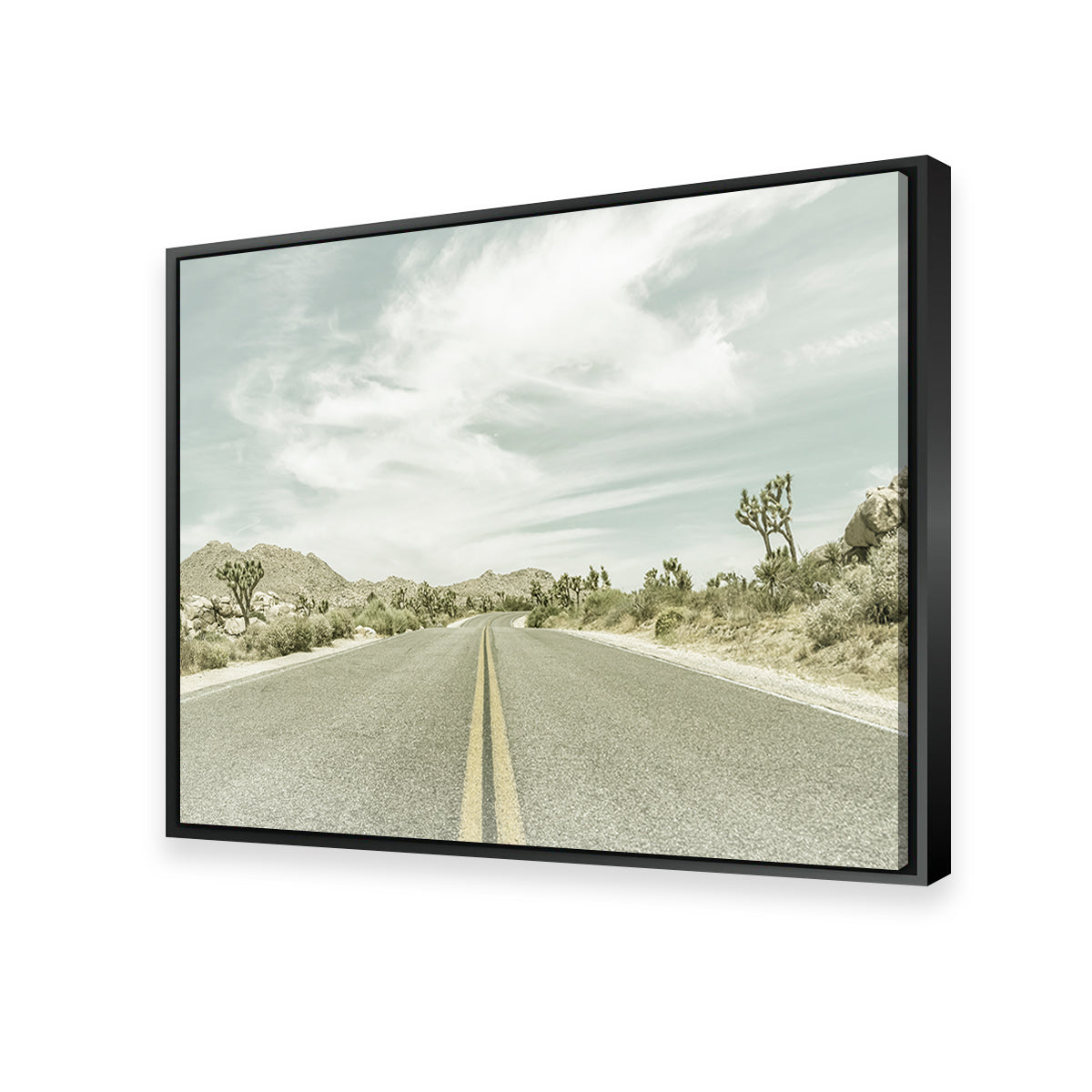 Joshua Trees Park Boulevard Wall Art