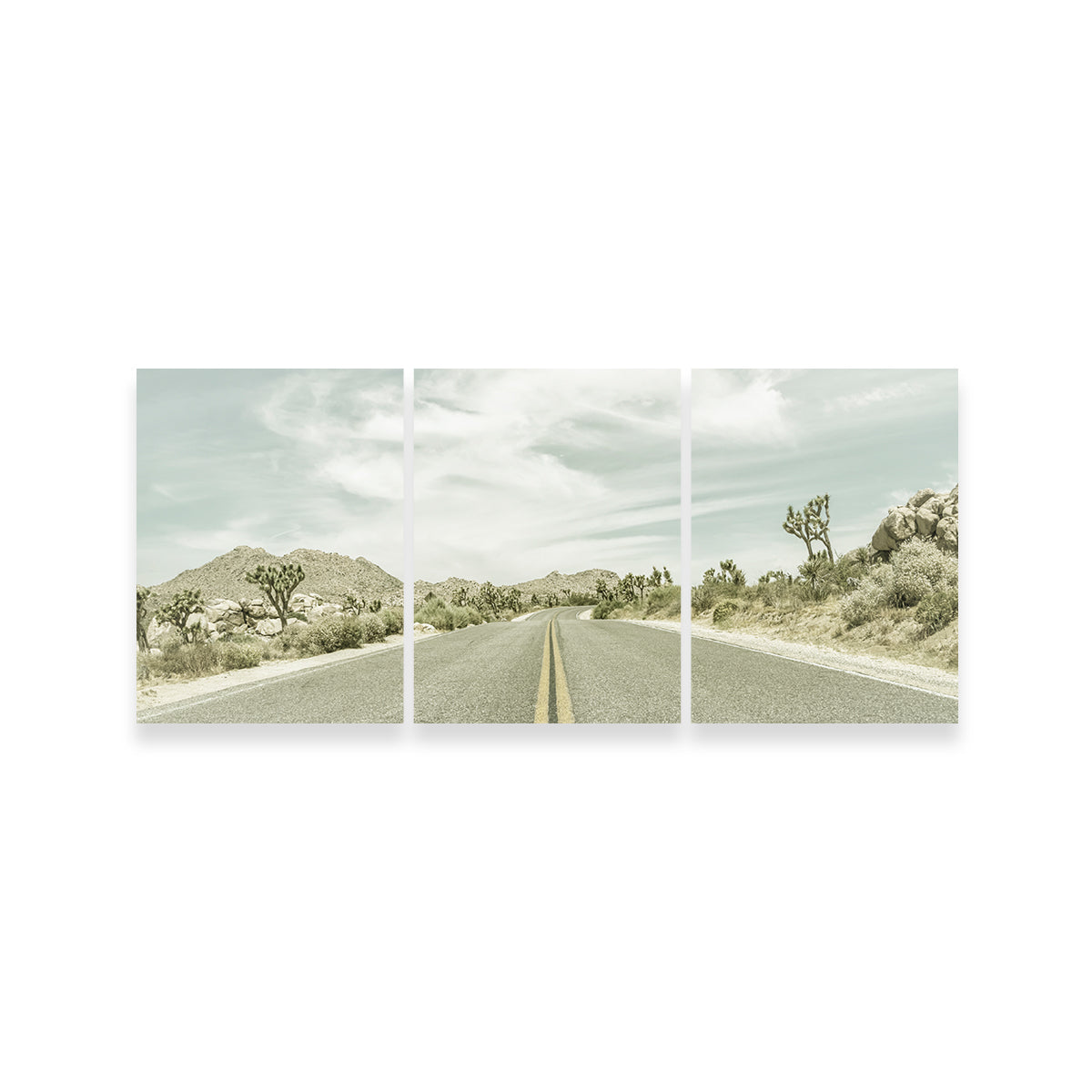 Joshua Trees Park Boulevard Wall Art