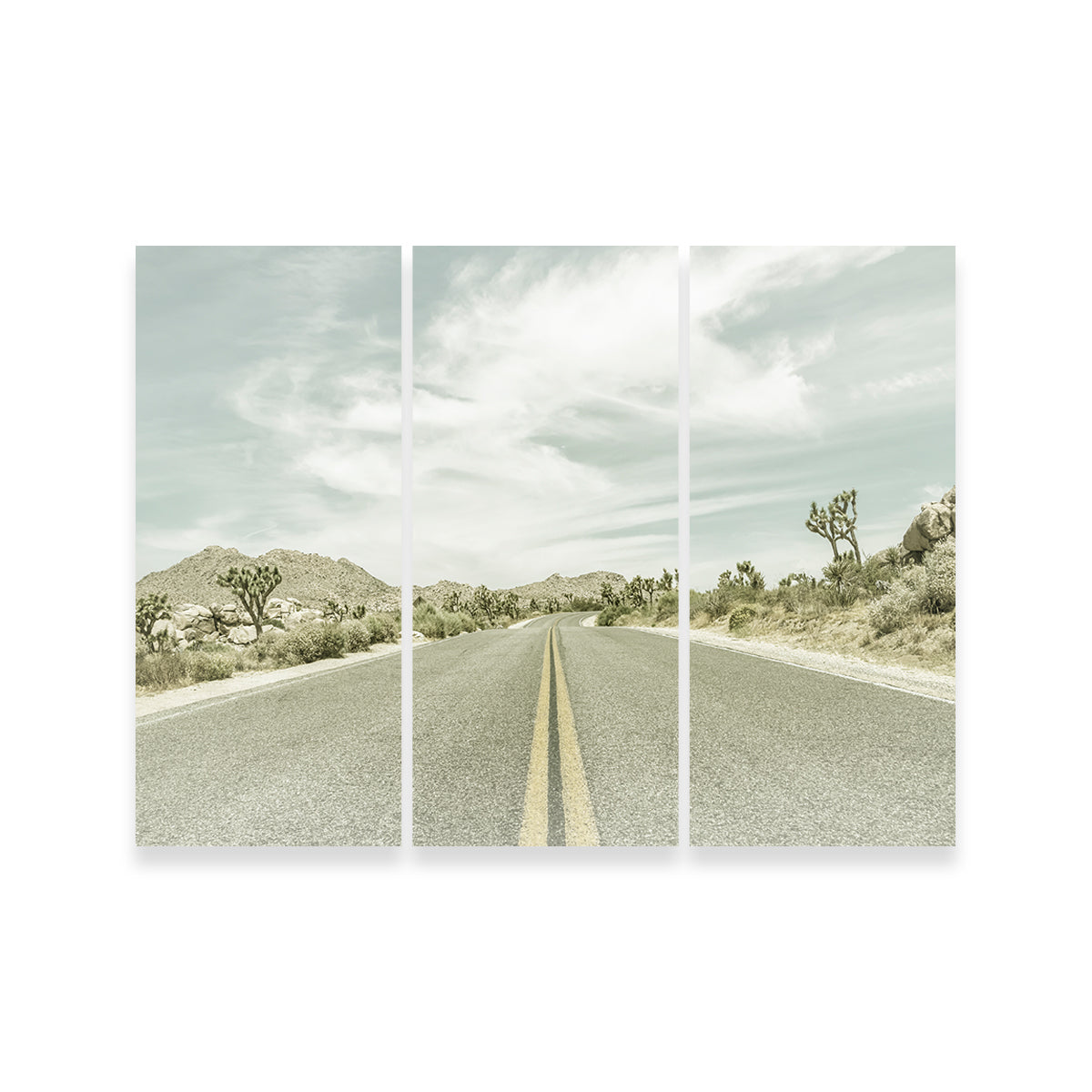 Joshua Trees Park Boulevard Wall Art