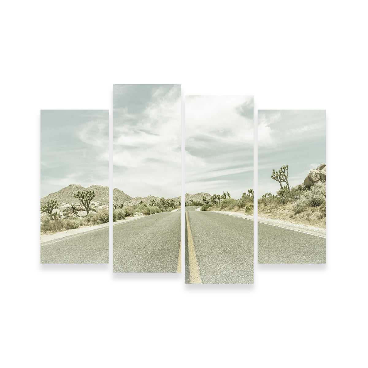 Joshua Trees Park Boulevard Wall Art