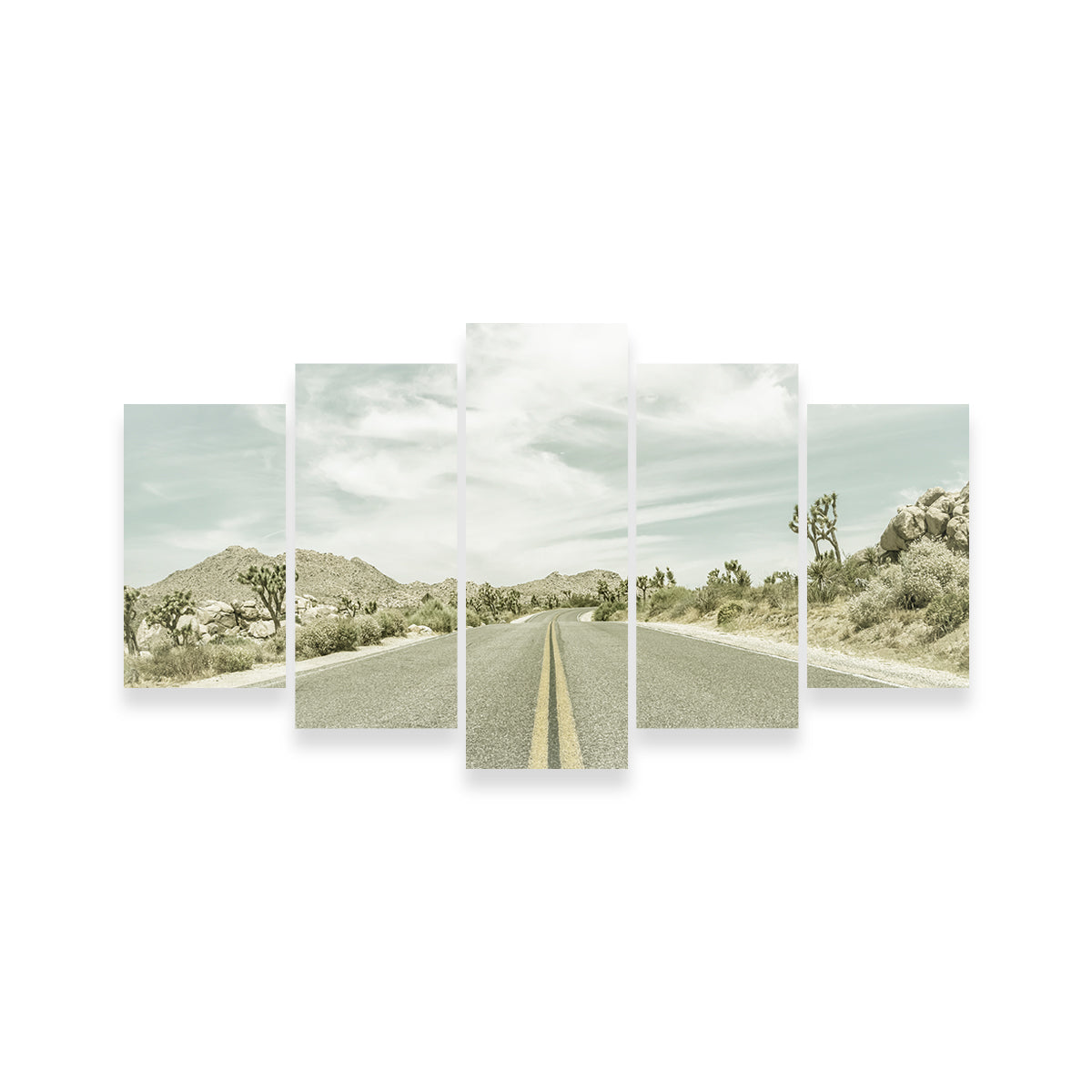 Joshua Trees Park Boulevard Wall Art