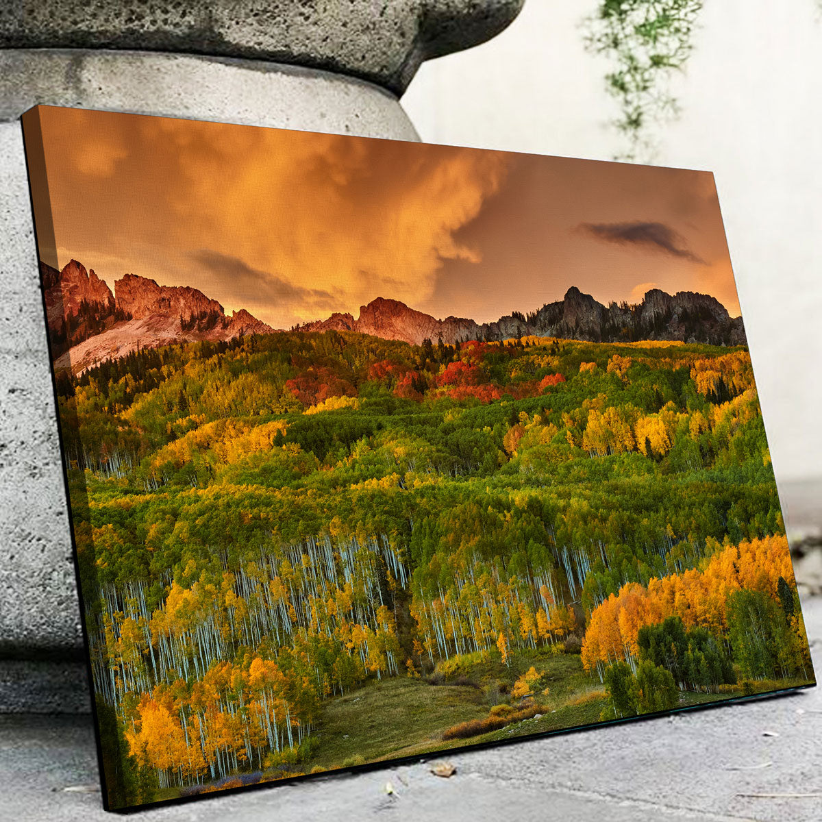 Kebler Pass Canvas Set