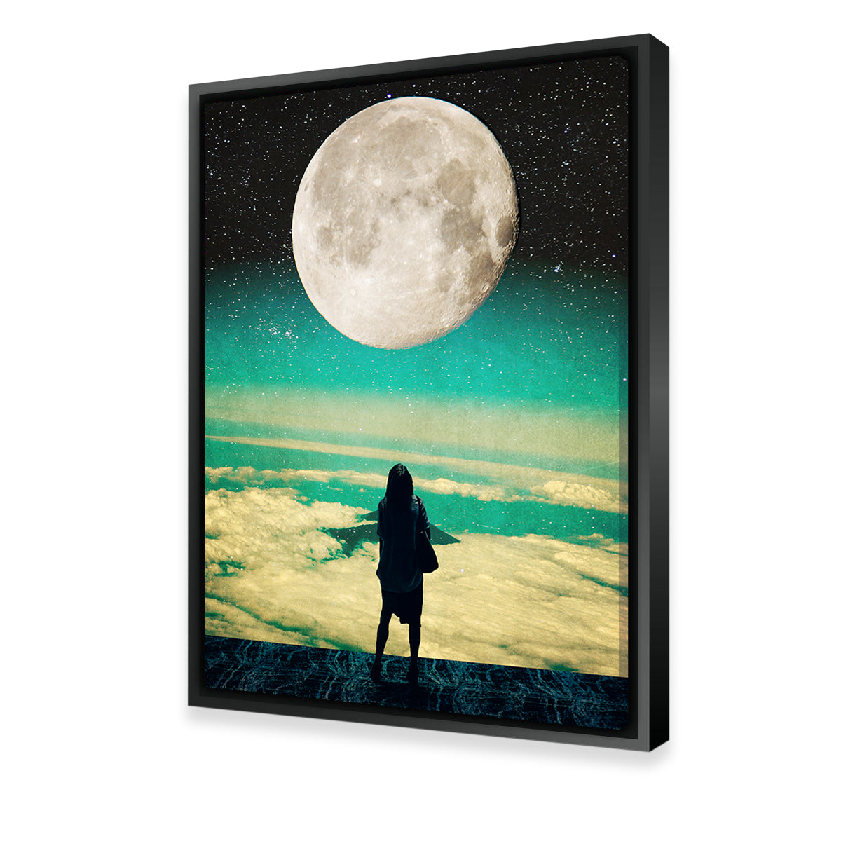 Lady Moon No Idea Wall Art