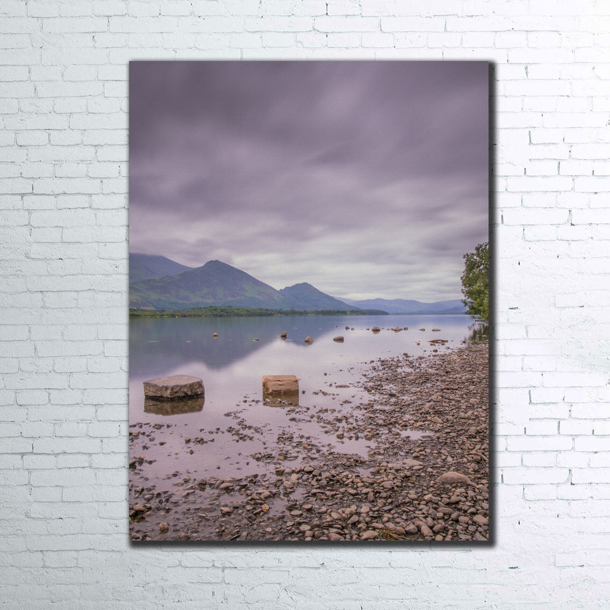 Overcast Reflections Wall Art