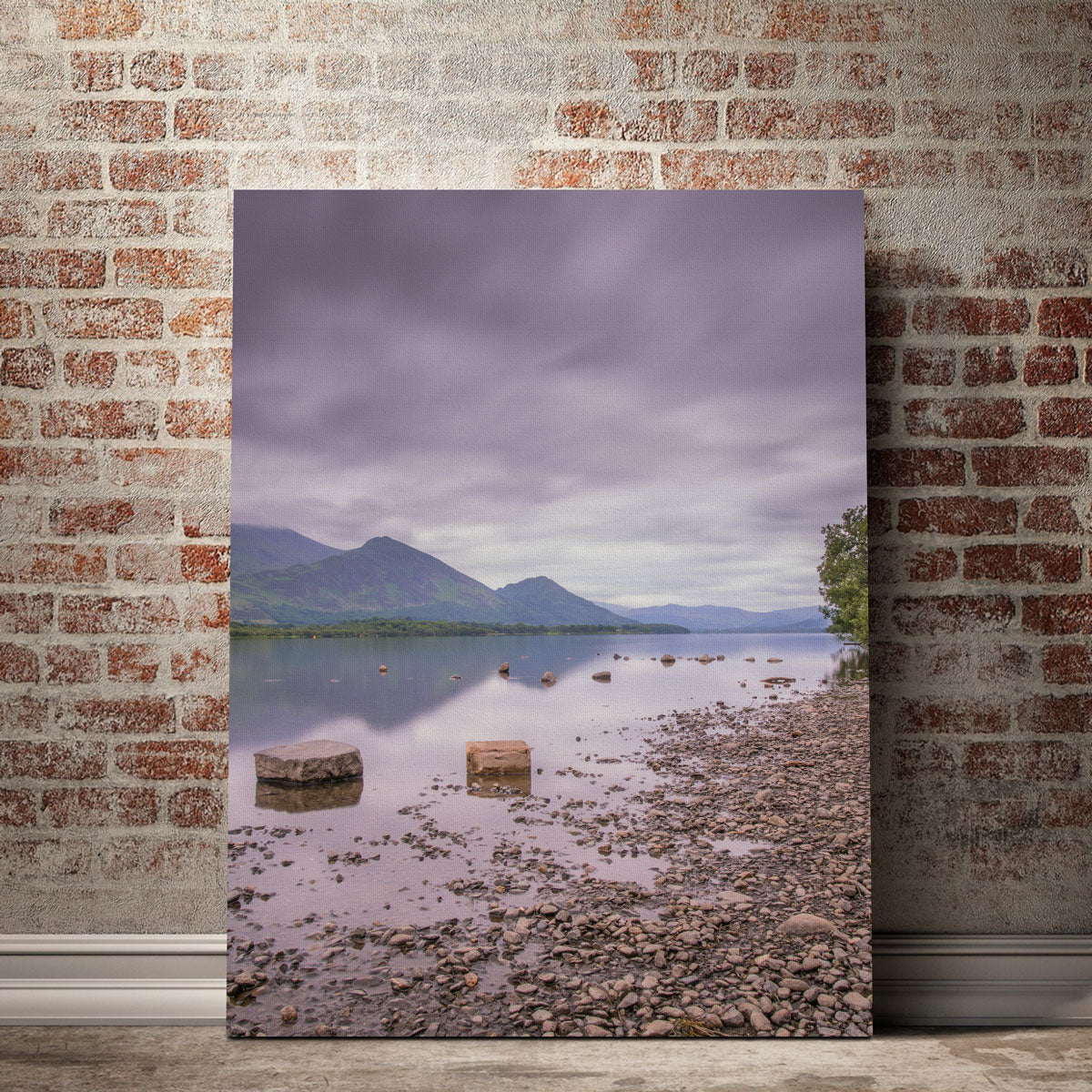 Overcast Reflections Wall Art