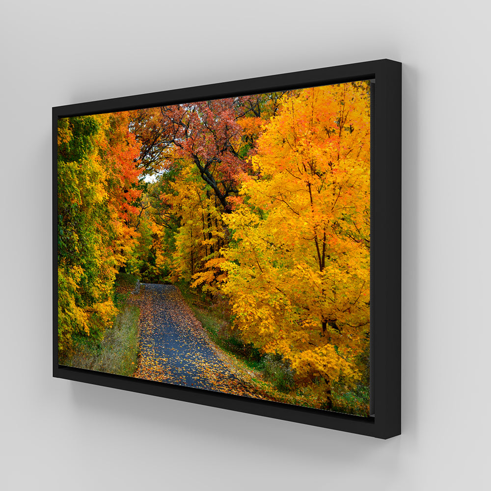 Lake Geneva Wisconsin Fall Road Wall Art