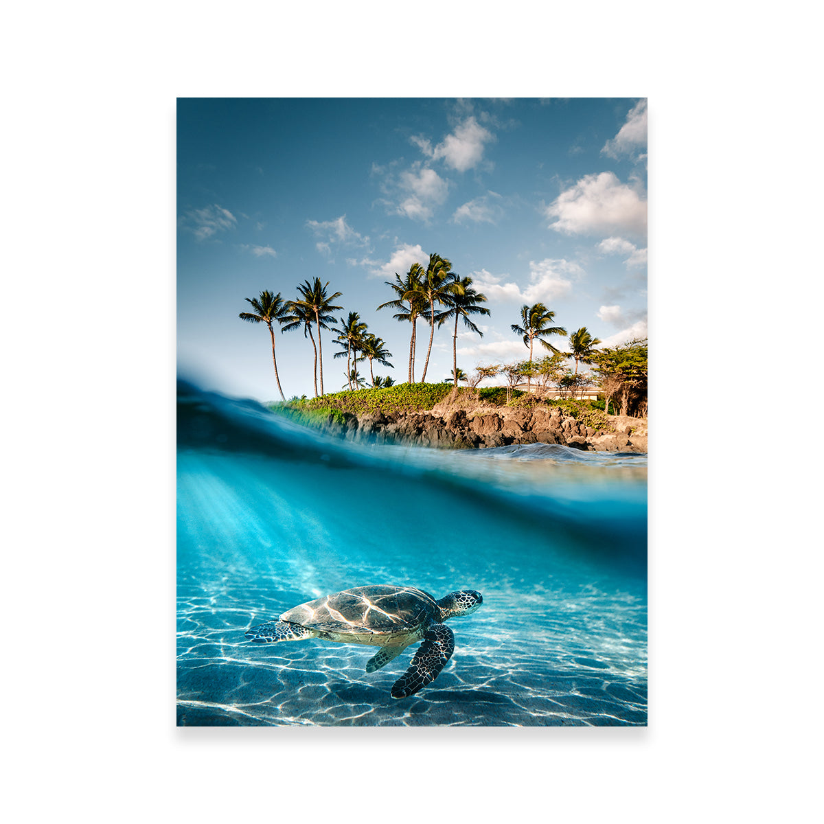 Land & Sea Wall Art