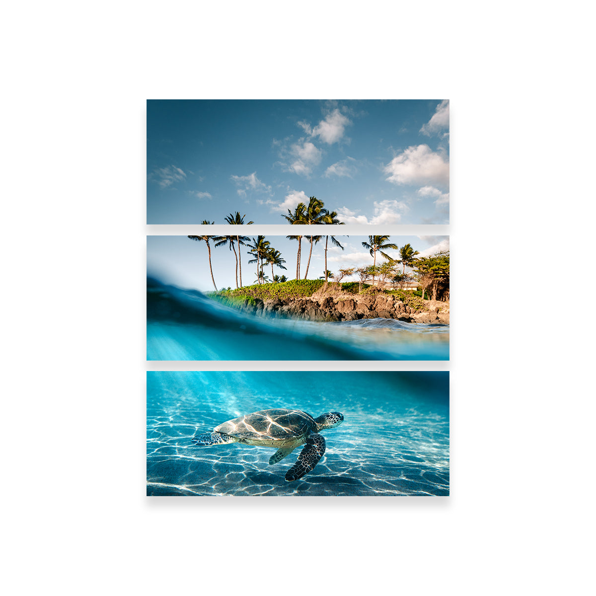 Land & Sea Wall Art