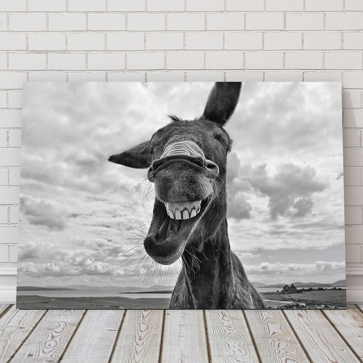 Laughing Donkey Wall Art