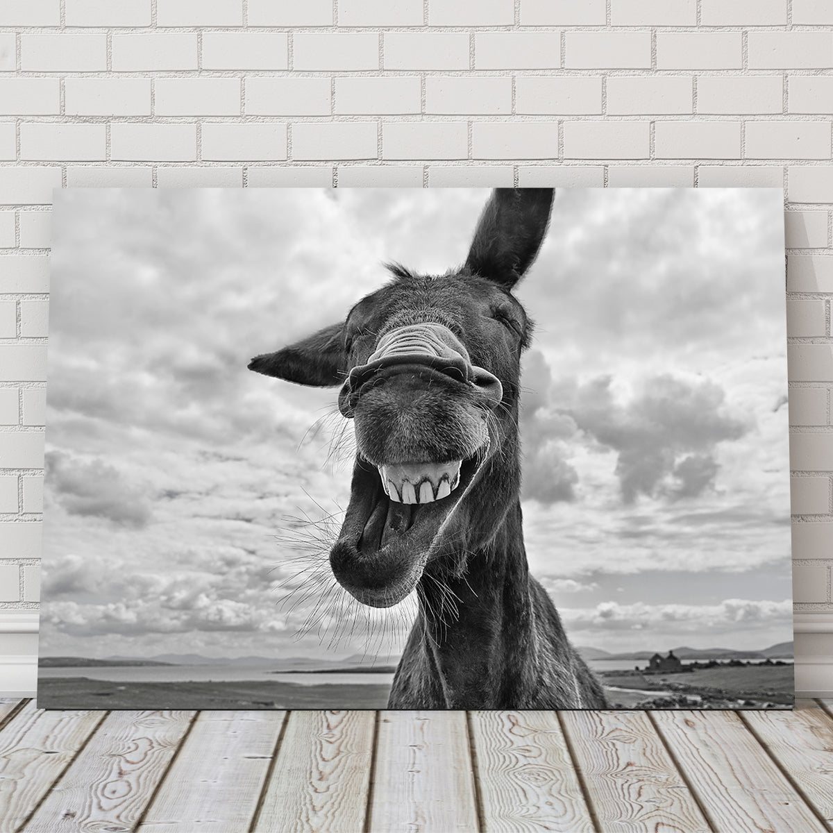 Laughing Donkey