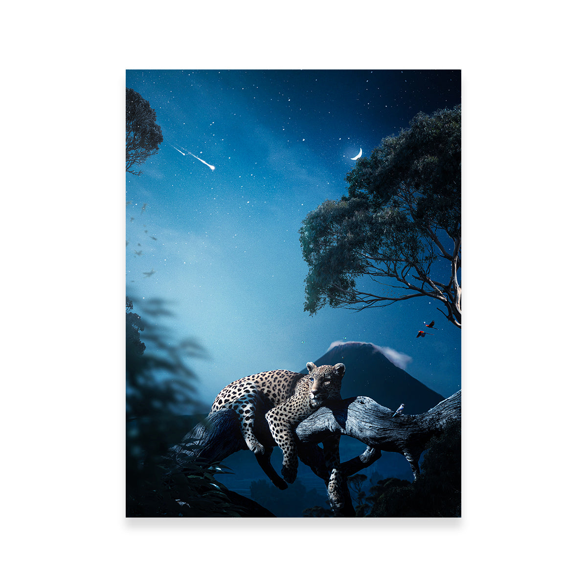 Leopard in the Night Wall Art