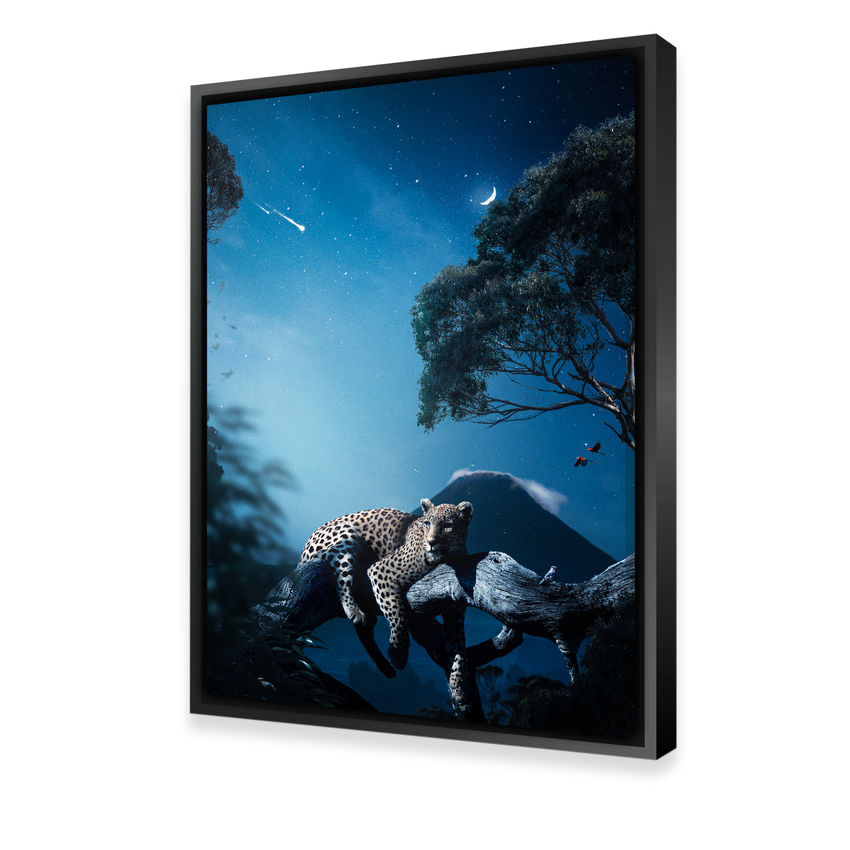 Leopard in the Night Wall Art