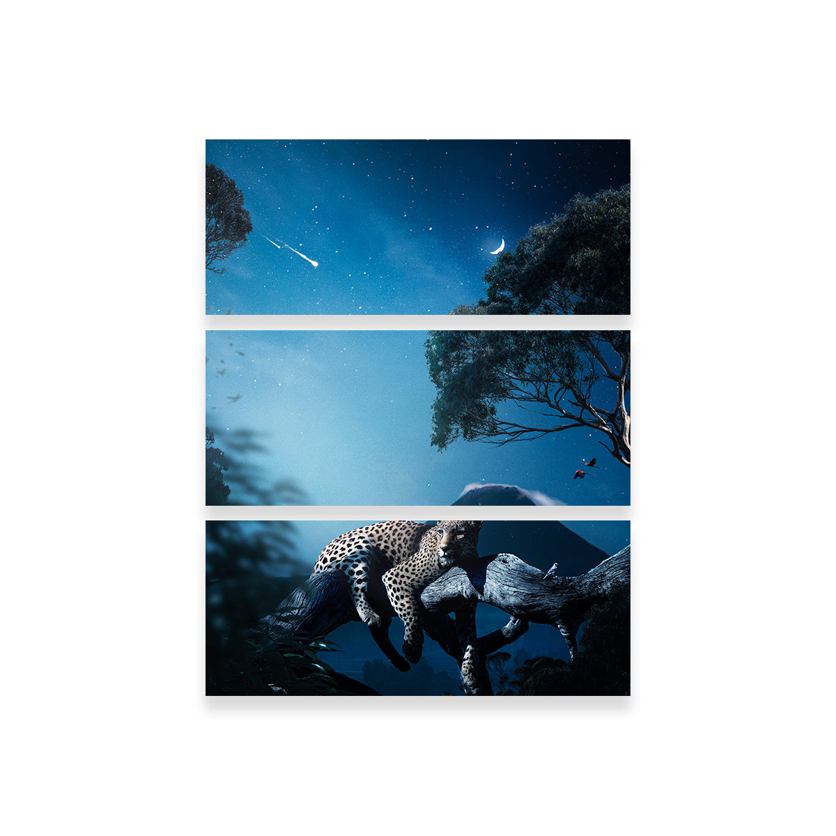 Leopard in the Night Wall Art