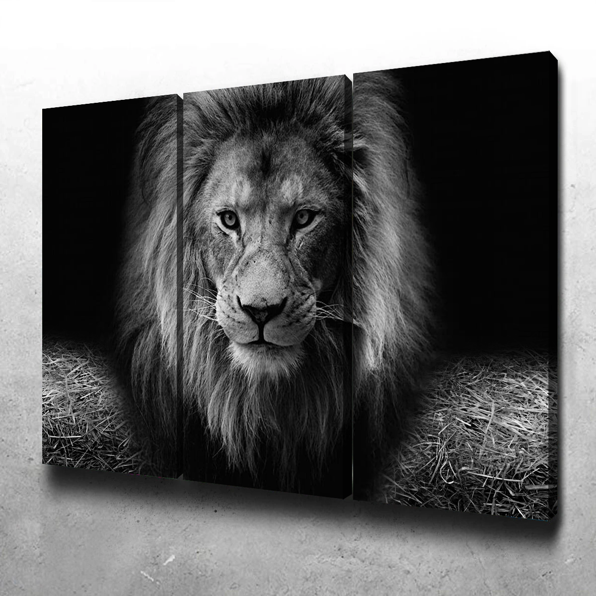Lion Head Wall Art