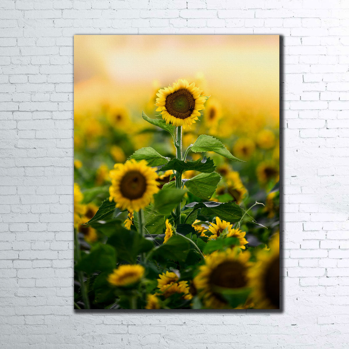 Lone Flower Wall Art