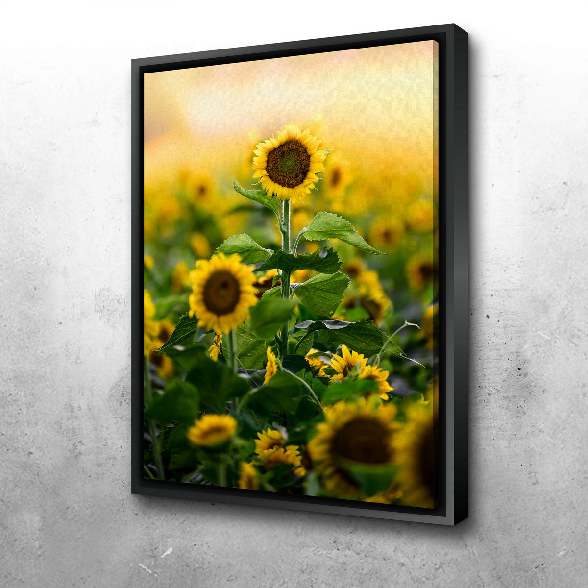 Lone Flower Wall Art