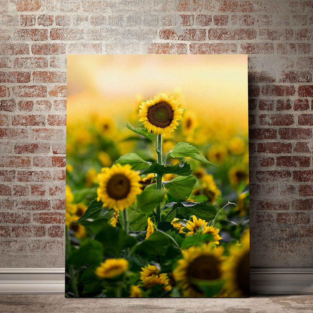 Lone Flower Wall Art