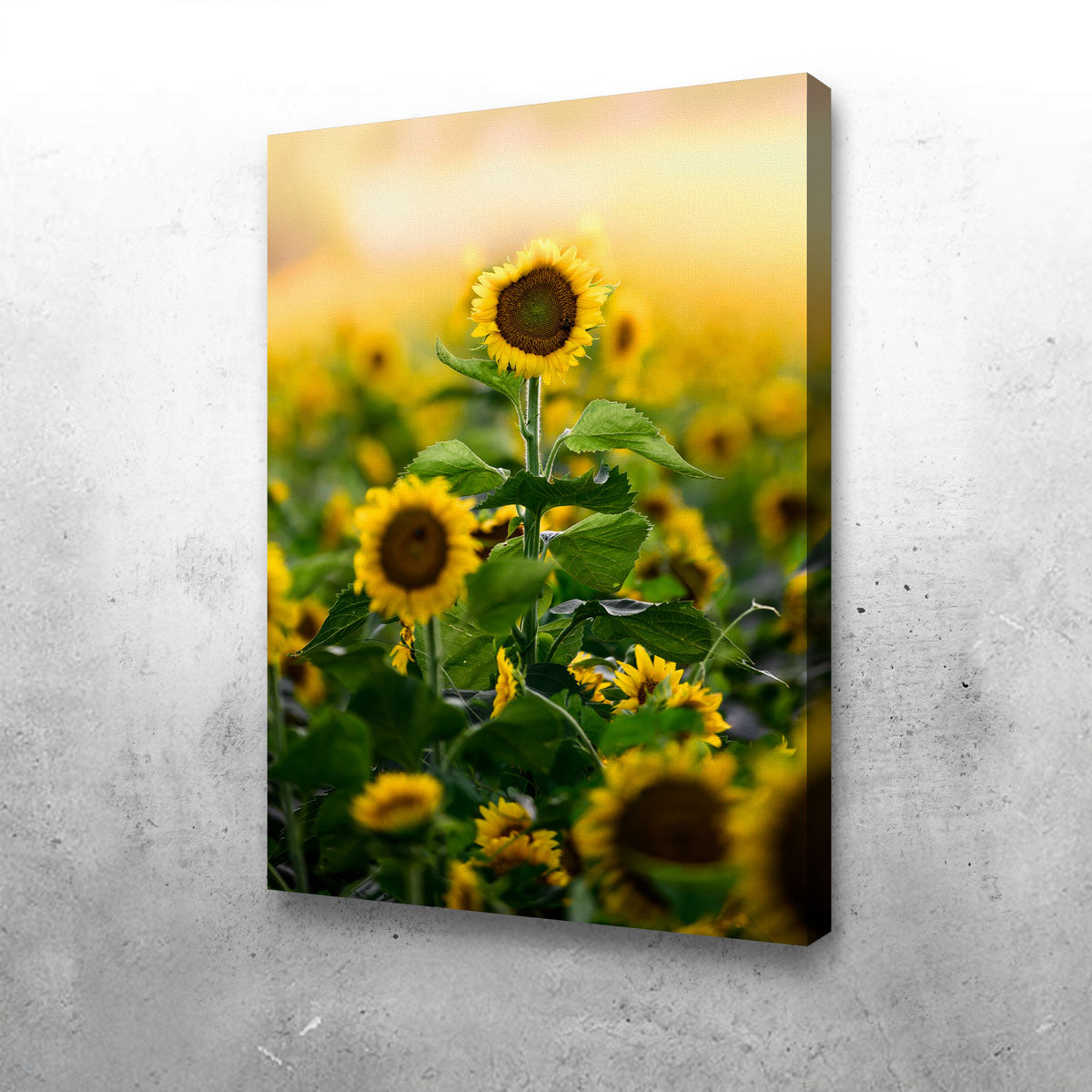 Lone Flower Wall Art