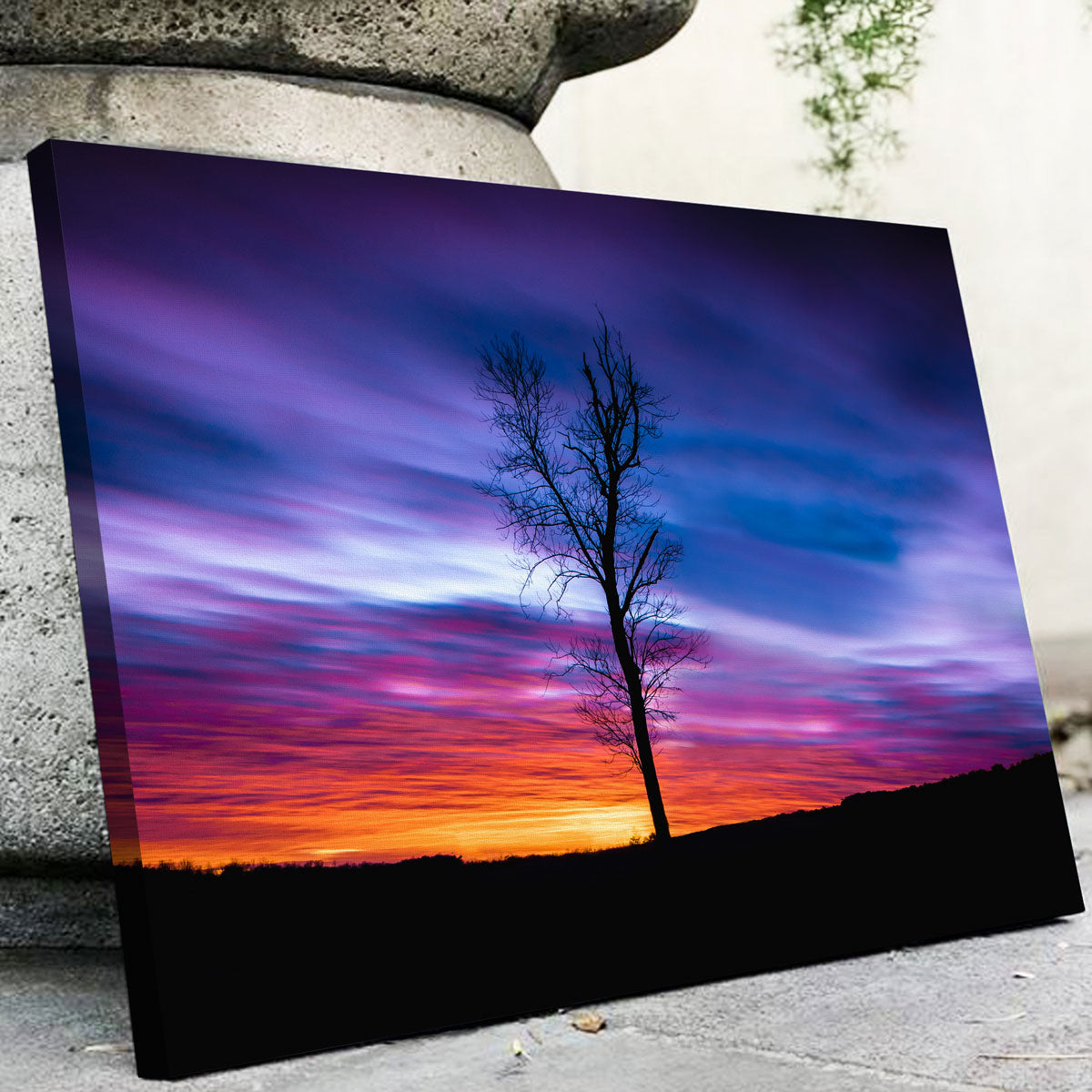 Lonely Sunset Wall Art