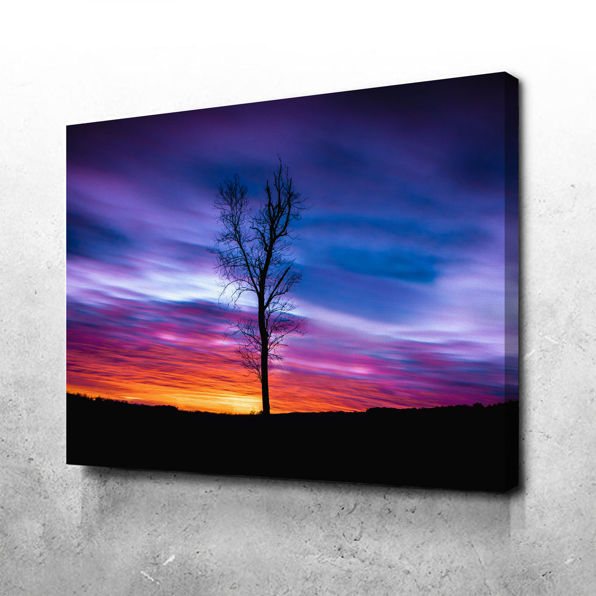 Lonely Sunset Wall Art