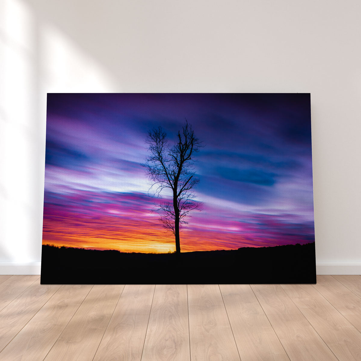 Lonely Sunset Wall Art