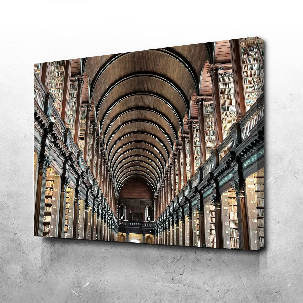 Long Room Library - Trinity College, Dublin Wall Art