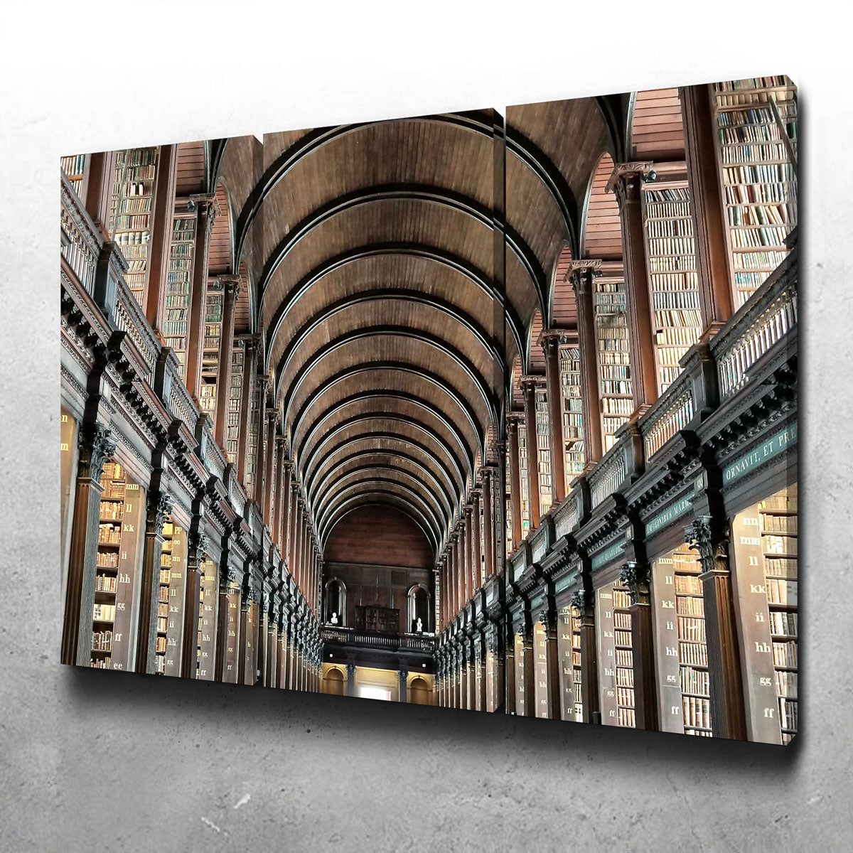Long Room Library - Trinity College, Dublin Wall Art
