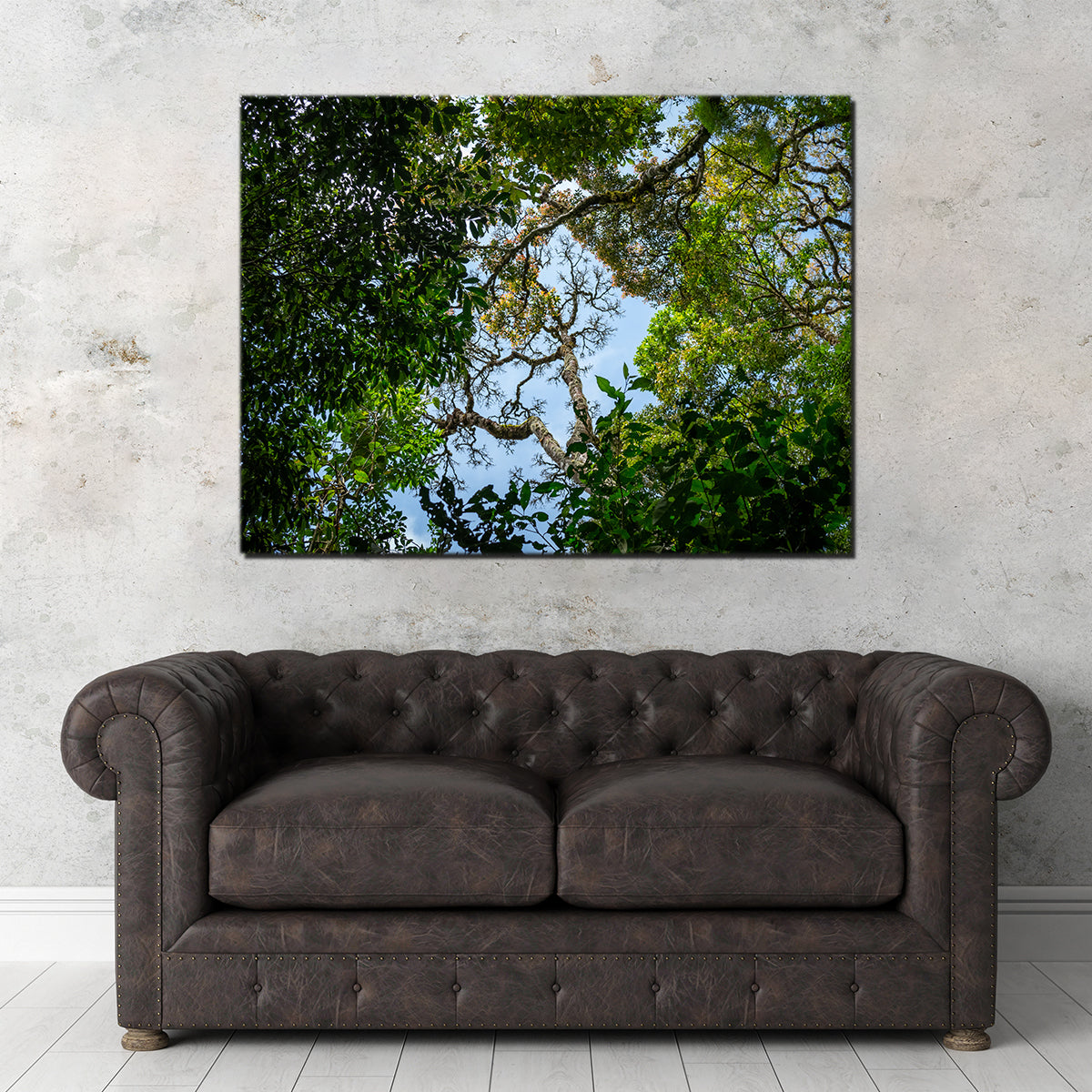 Look Up in the Forest Wall Art
