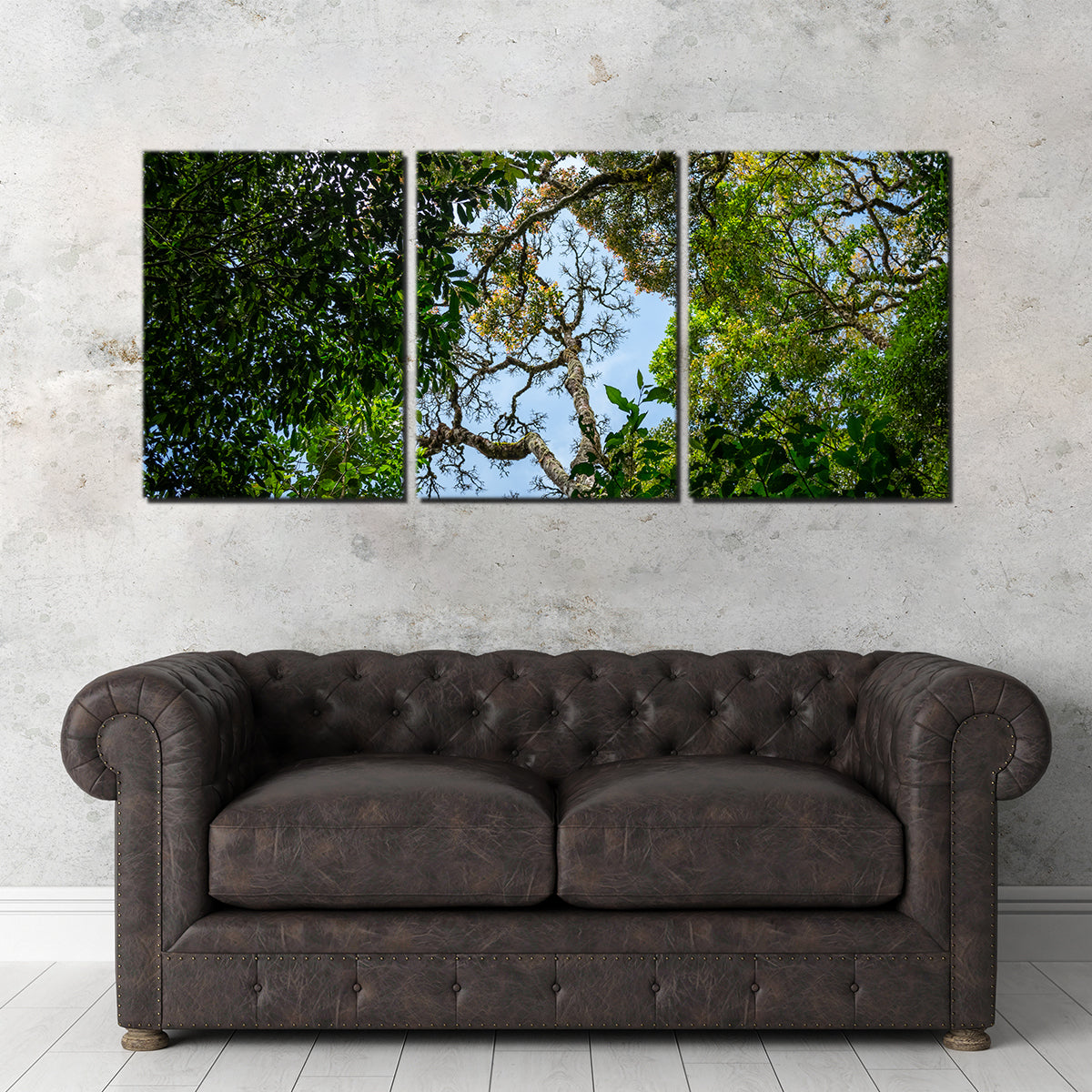 Look Up in the Forest Wall Art
