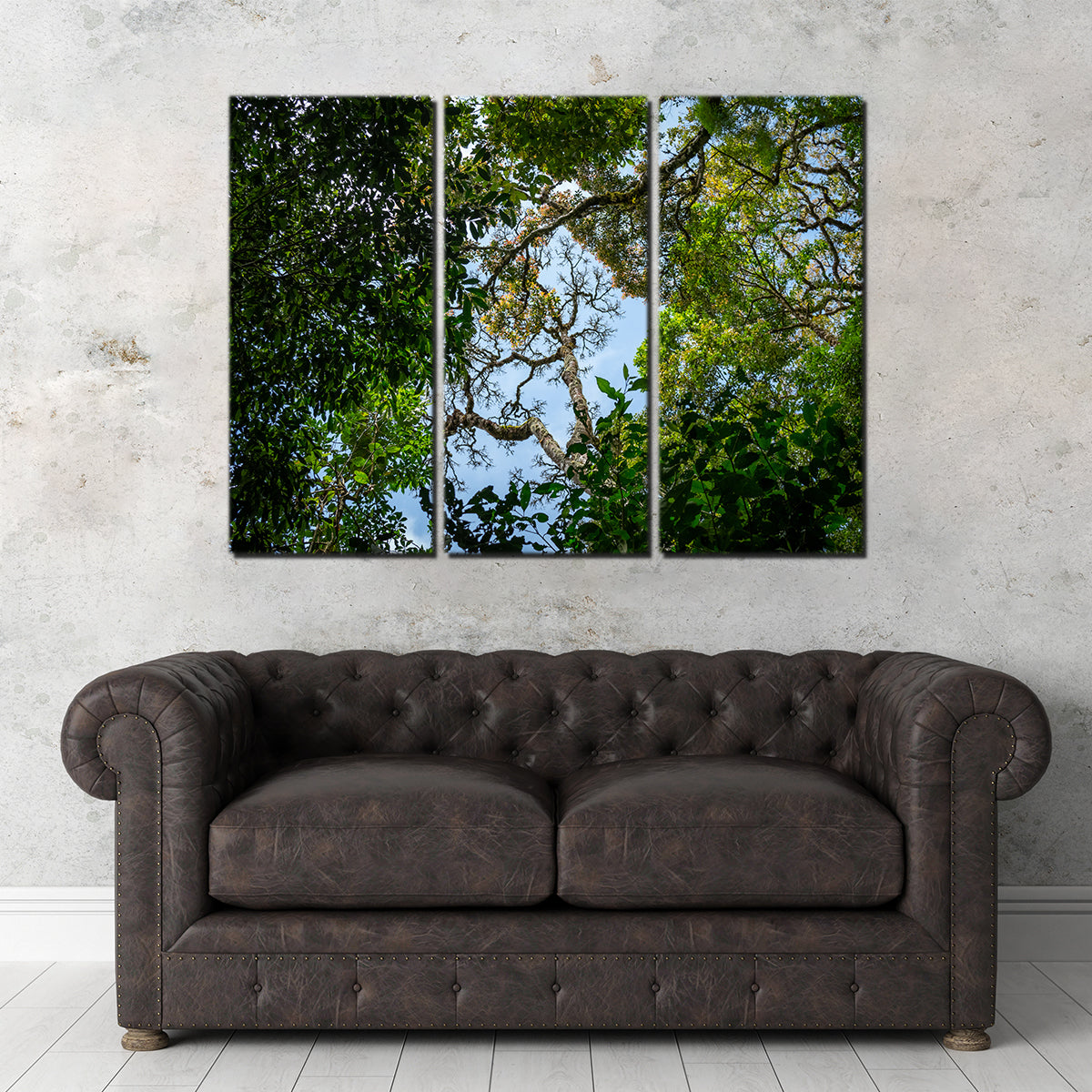 Look Up in the Forest Wall Art