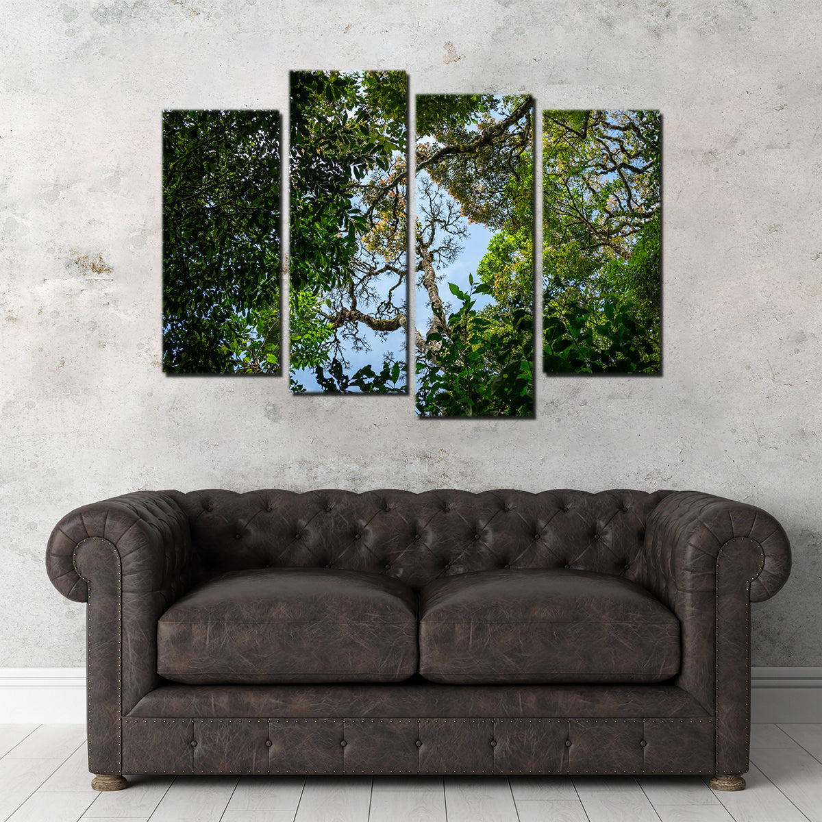 Look Up in the Forest Wall Art