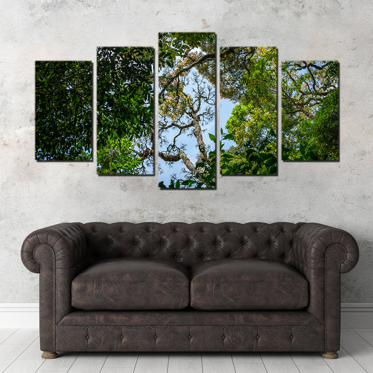 Look Up in the Forest Wall Art