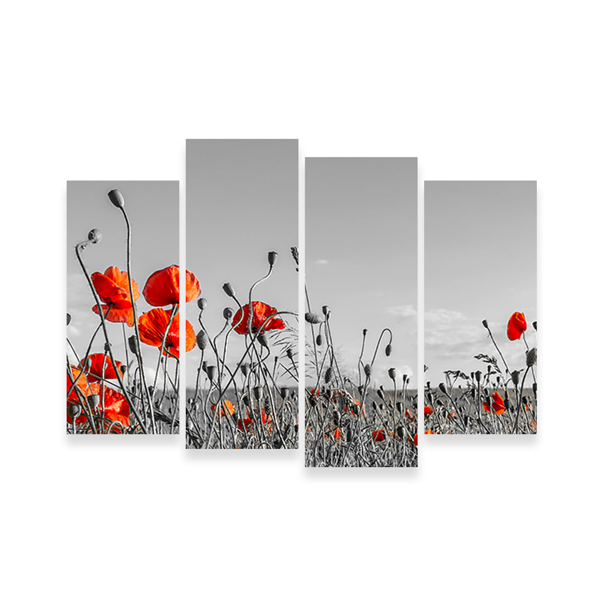 Lovely Poppy Field Wall Art
