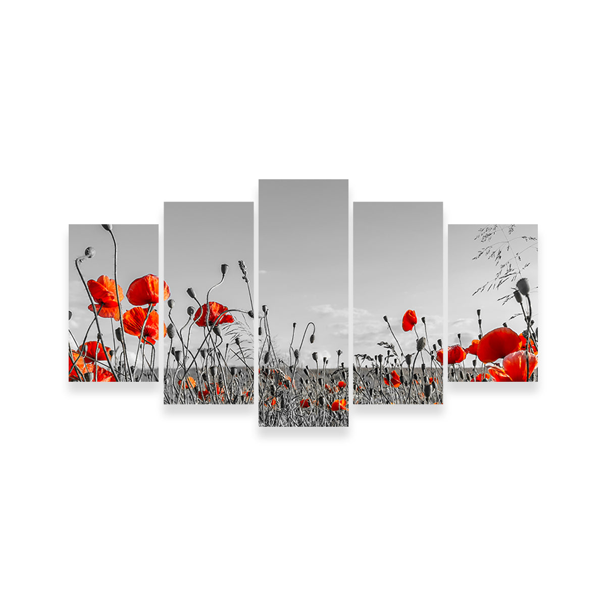Lovely Poppy Field Wall Art
