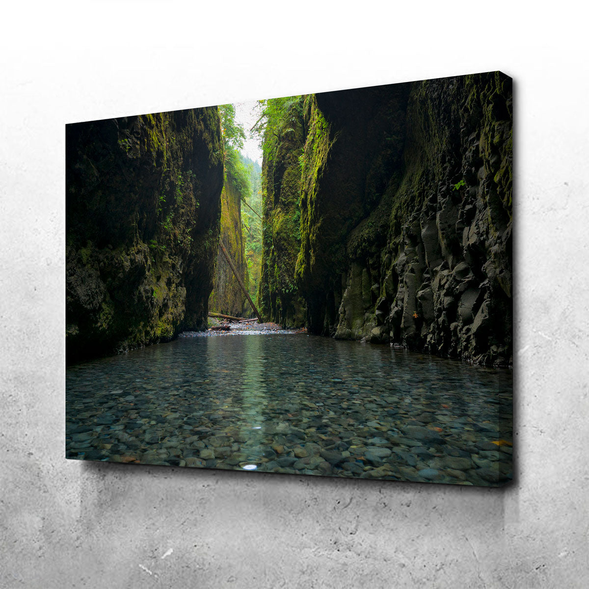 Lower Oneonta Falls Wall Art