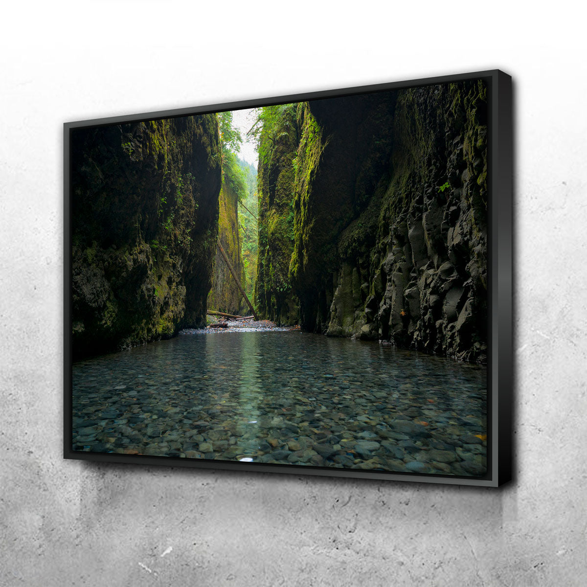 Lower Oneonta Falls Wall Art
