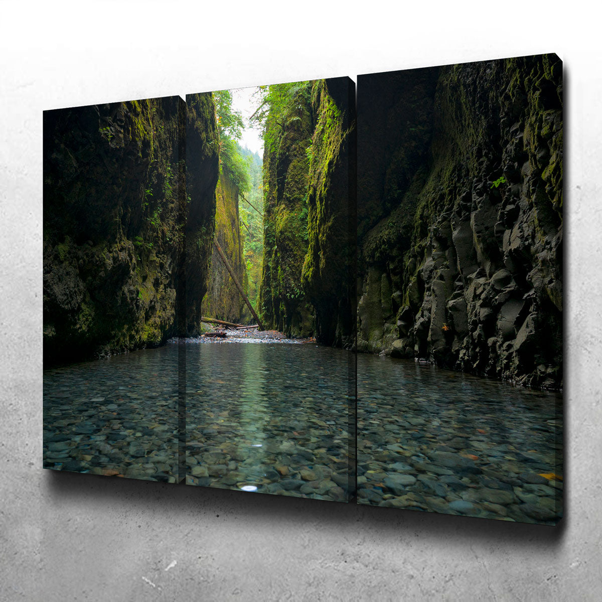 Lower Oneonta Falls Wall Art