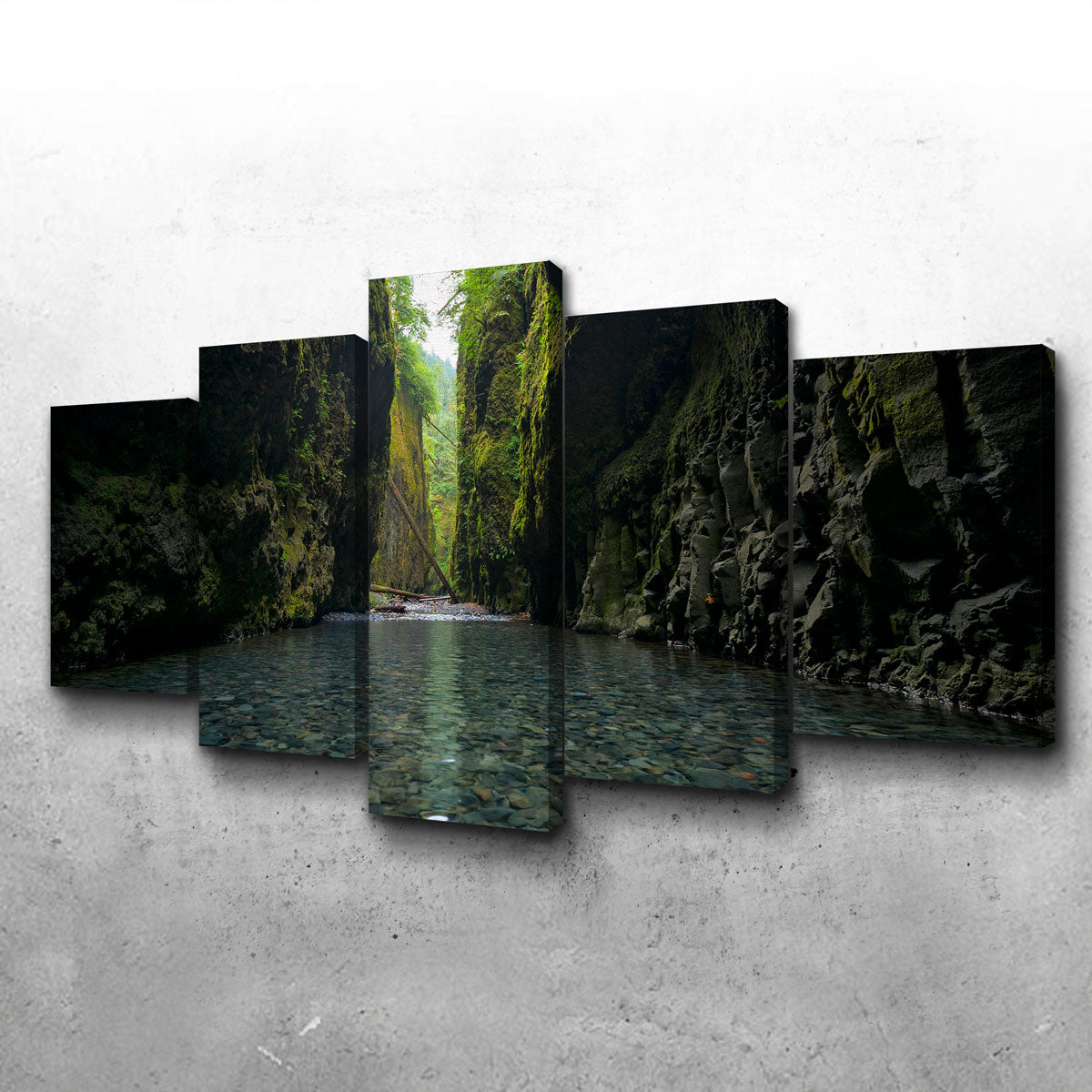 Lower Oneonta Falls Wall Art