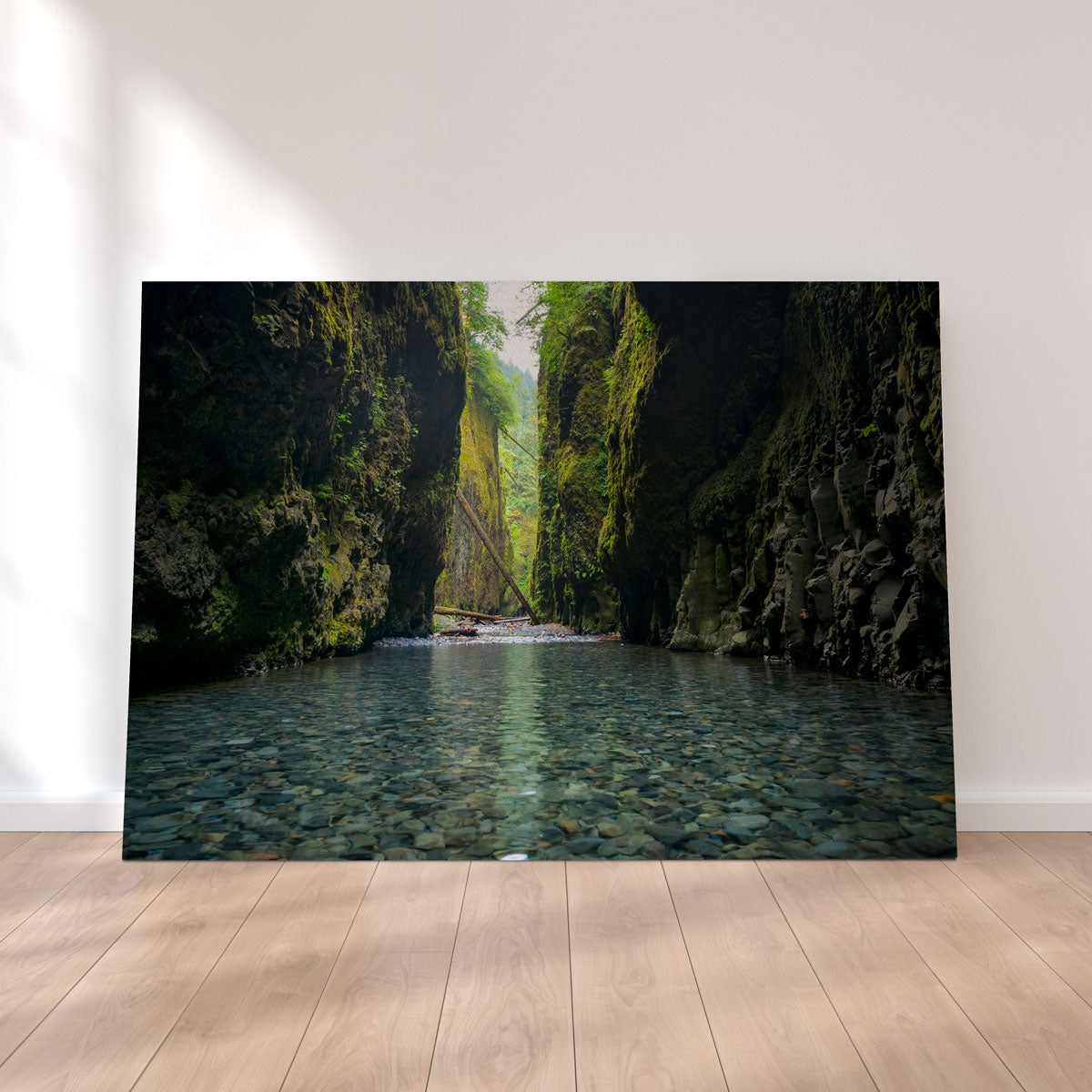 Lower Oneonta Falls Wall Art