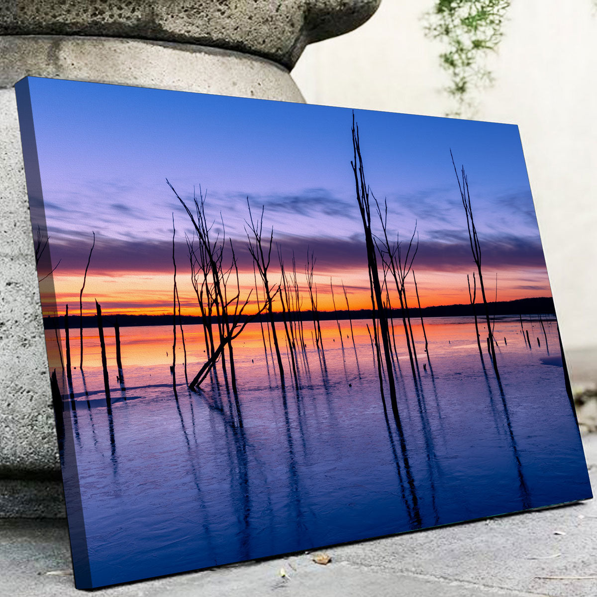Manasquan Reservoir Wall Art