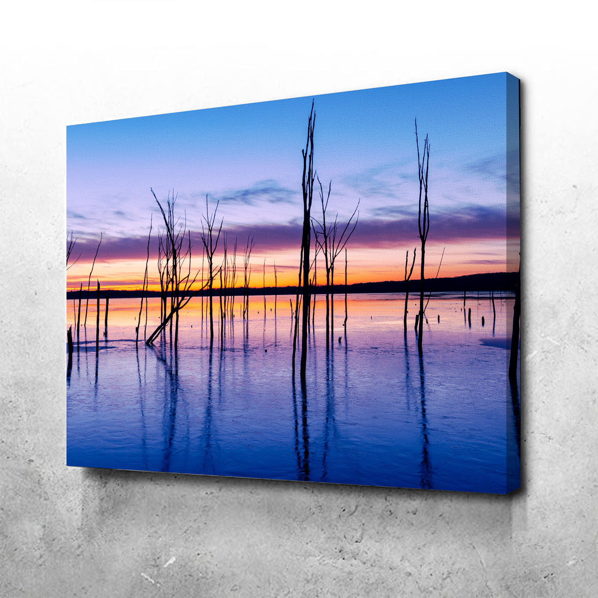 Manasquan Reservoir Wall Art