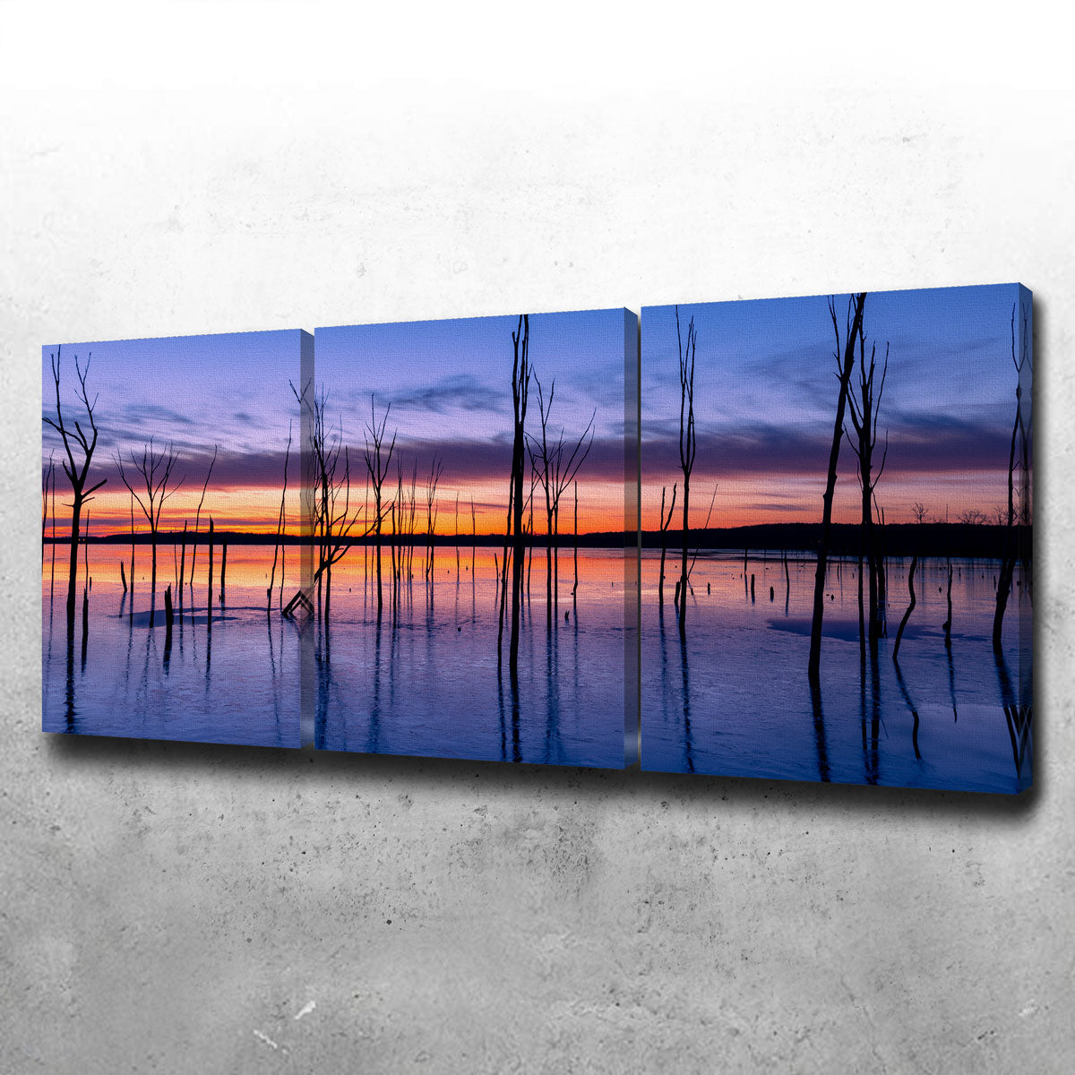 Manasquan Reservoir Wall Art