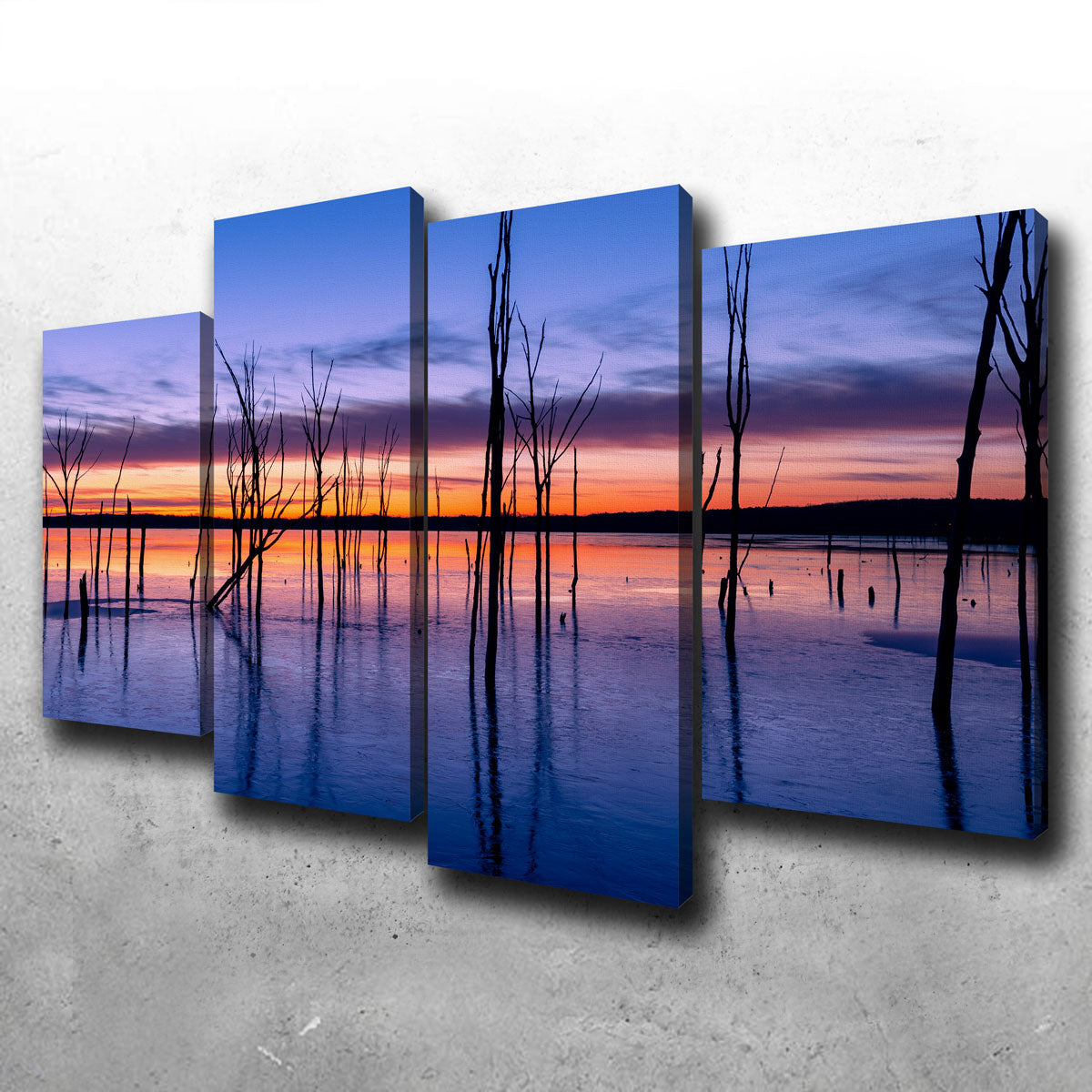 Manasquan Reservoir Wall Art
