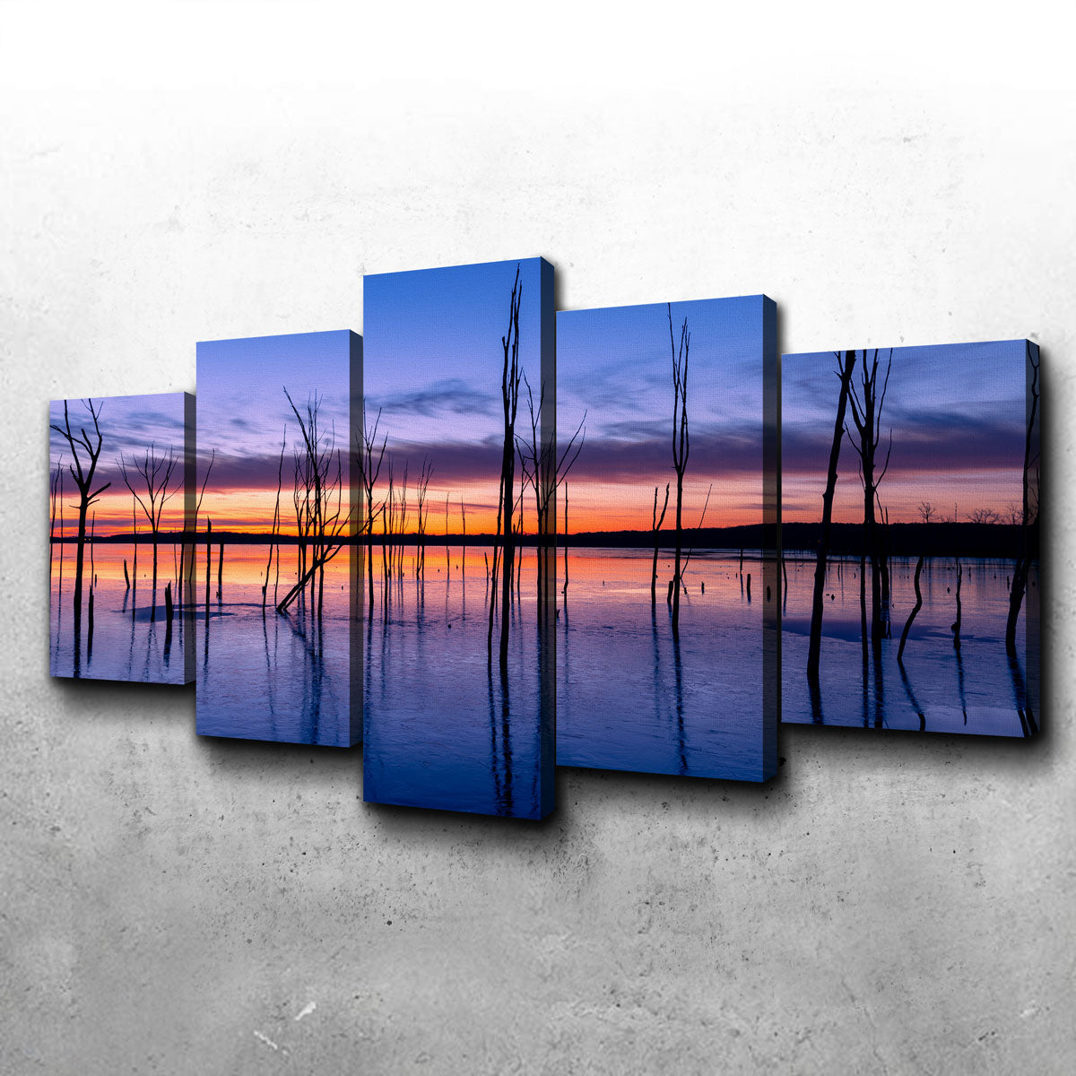 Manasquan Reservoir Wall Art