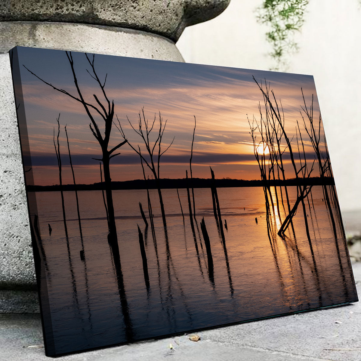 Golden Hour Wall Art