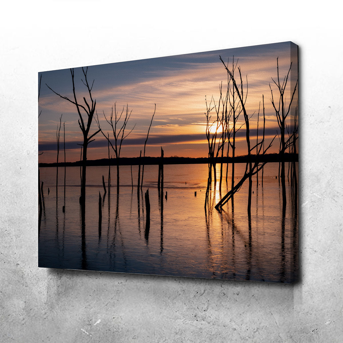 Golden Hour Wall Art
