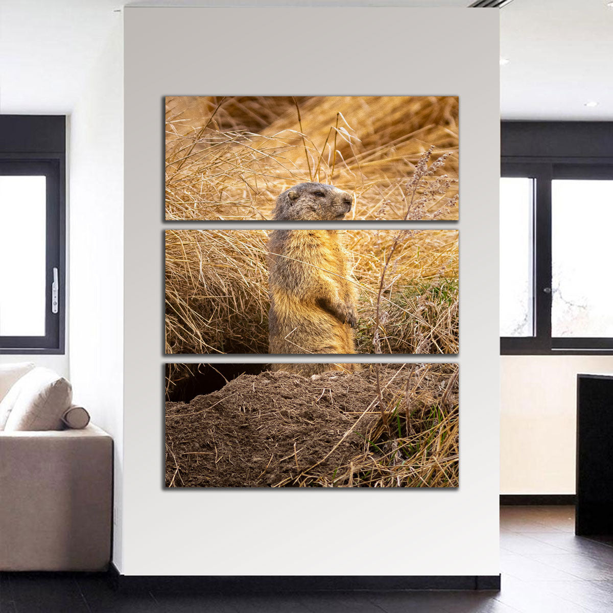 Marmotte du Queyras Wall Art